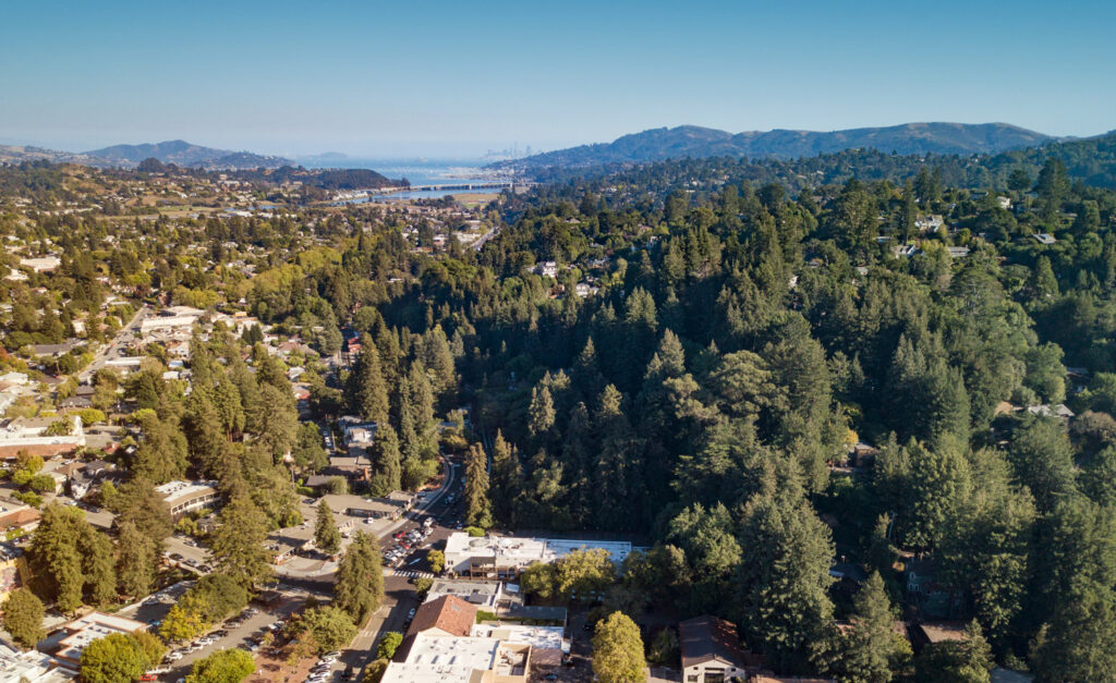 Shows Mill Valley, California, where Recovery Without Walls is based